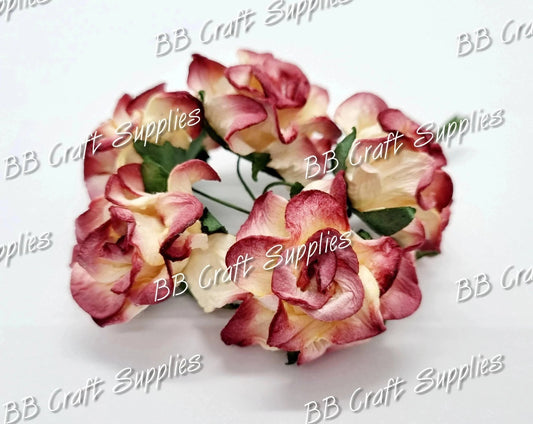 Twist Rose Ivory/Burgundy tips 5 pack - Burgandy, Embelishment, Flower, Mulburry, mullberry, rose - Bare Butler Faux Leather Supplies 
